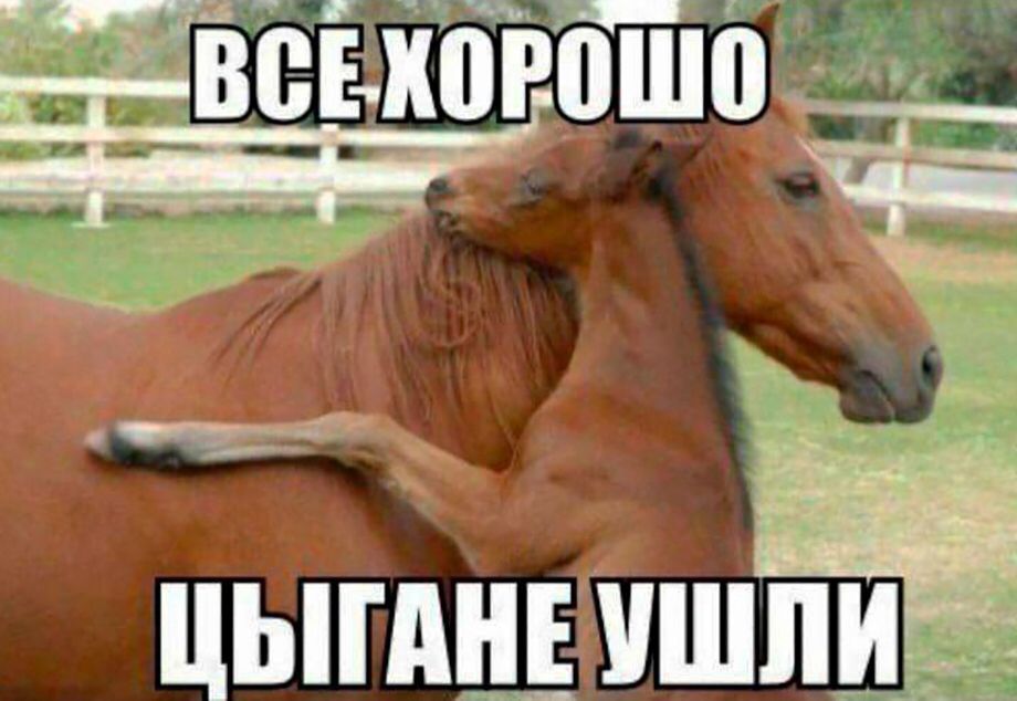 Рыжий Конь Порно