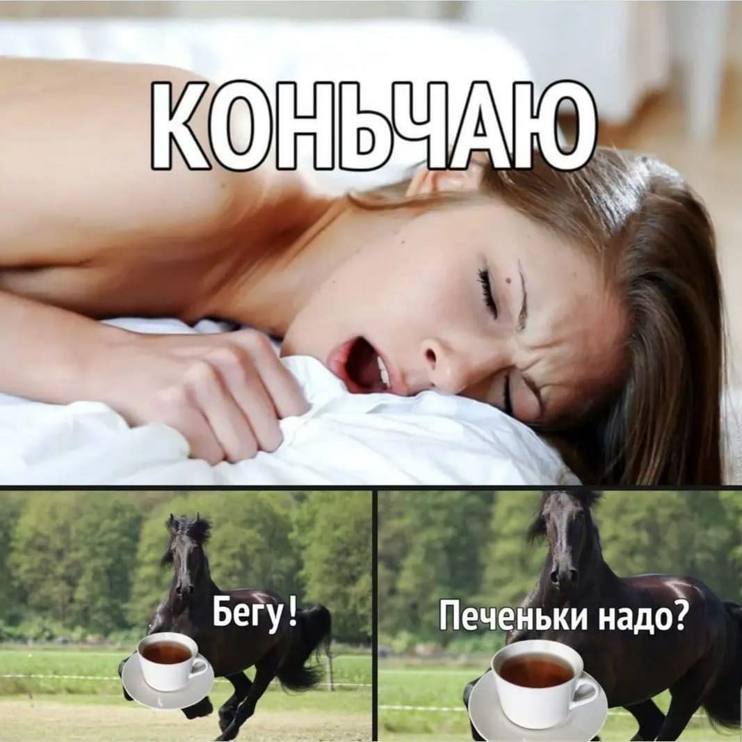Конь чаю бегу