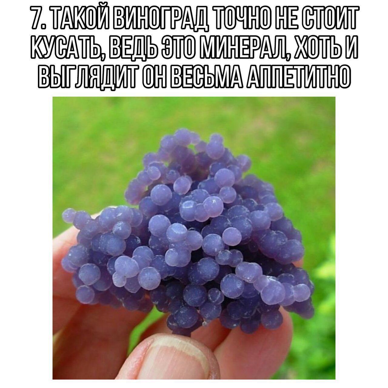 Виноград халцедон агат