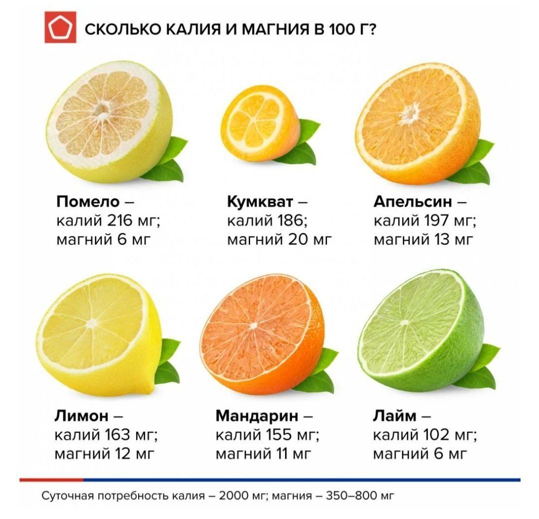 Цитрусовые фрукты и их названия