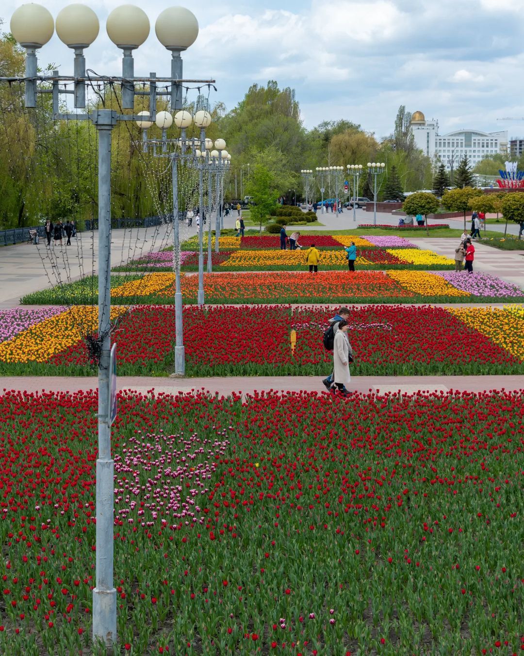 белгород в цвету фестиваль фото
