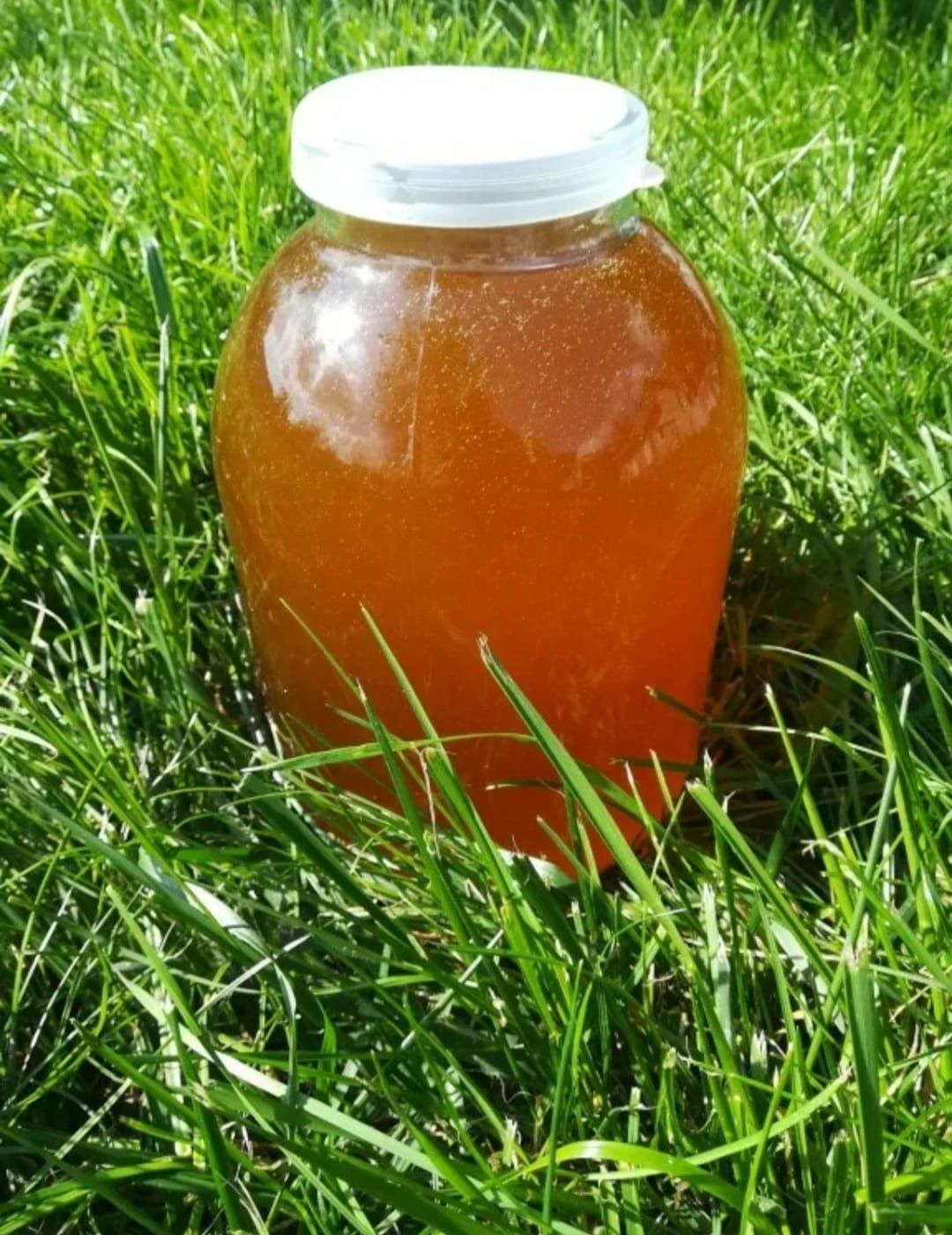 Мёд разнотравье в 3 литровой банке